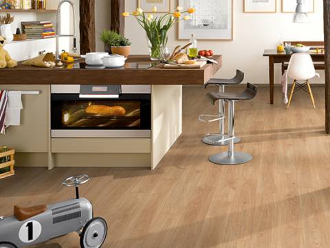 aranzacja dab shannon