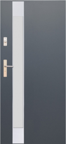 DRZWI FUTURE INOX FI07B
