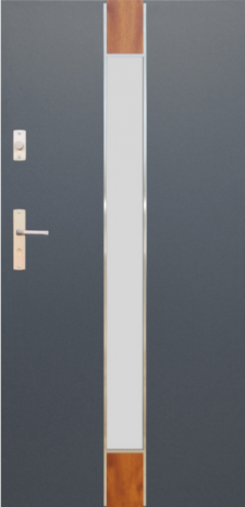 DRZWI FUTURE INOX FI06A