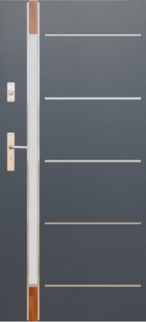 DRZWI FUTURE INOX FI04D