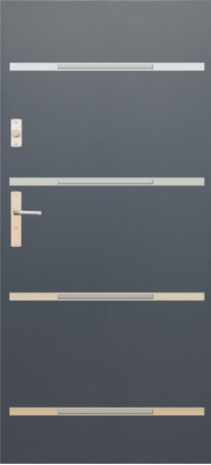 DRZWI FUTURE INOX FI09C