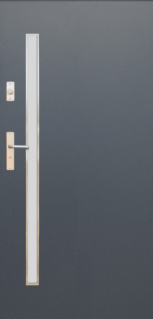 DRZWI FUTURE INOX FI10A