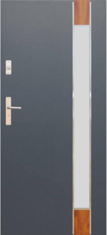 DRZWI FUTURE INOX FI06C