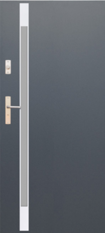 DRZWI FUTURE INOX FI05B