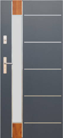 DRZWI FUTURE INOX FI06D