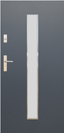 DRZWI FUTURE INOX FI08A