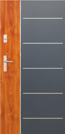 DRZWI FUTURE INOX FI02A