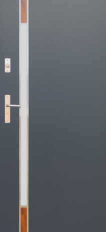 DRZWI FUTURE INOX FI04B