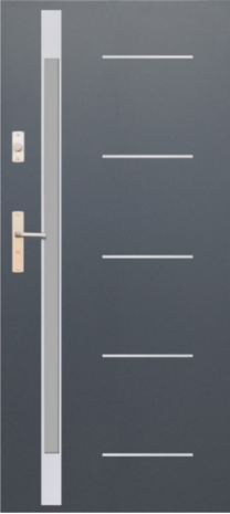 DRZWI FUTURE INOX FI05E