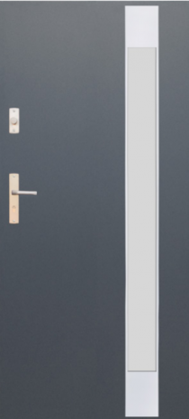 DRZWI FUTURE INOX FI07C