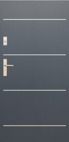 DRZWI FUTURE INOX FI03A