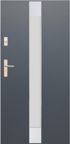 DRZWI FUTURE INOX FI07A