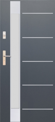 DRZWI FUTURE INOX FI07D