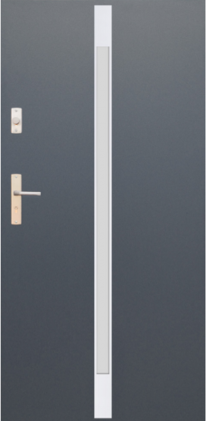 DRZWI FUTURE INOX FI05A