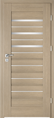 Drzwi Lion Steel W-4