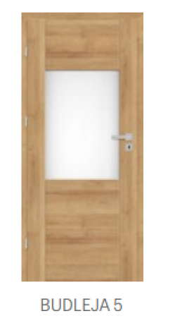 Drzwi BUDLEJA 5