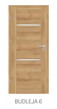 Drzwi BUDLEJA 6