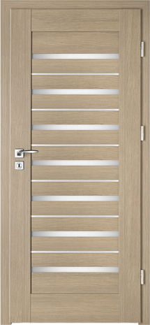 Drzwi Lion Steel W-5