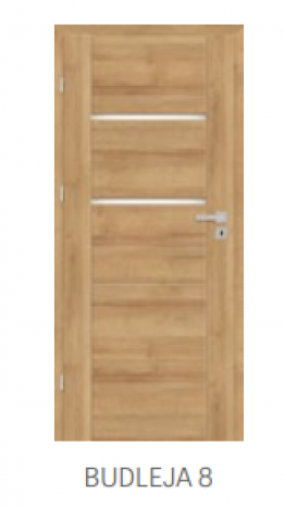 Drzwi BUDLEJA 8