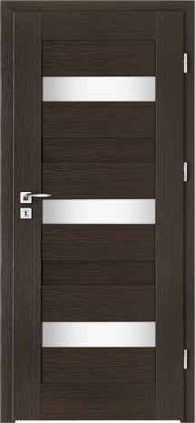 Drzwi Paris W-3
