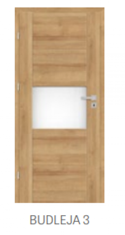 Drzwi BUDLEJA 3