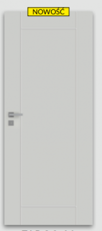Drzwi Fargo 20