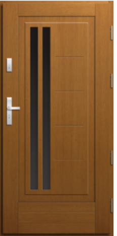 DRZWI RAMOWO PŁYTOWE PRO 21