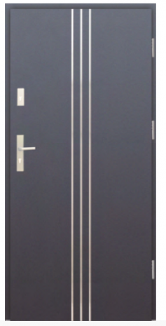 Drzwi Protect wzór 32