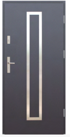 Drzwi Protect wzór 12