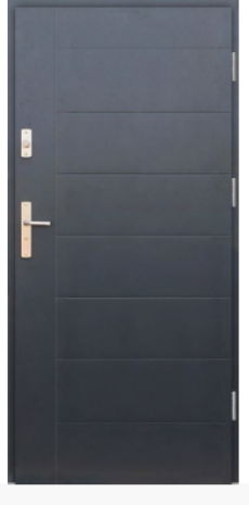 Drzwi Protect wzór 42