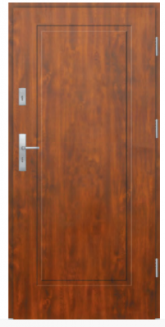 Drzwi Protect wzór 27
