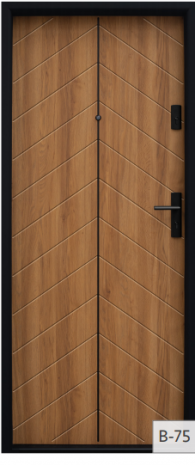 Drzwi Bastion B-75