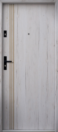 Drzwi Bastion P-81