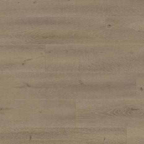 Panele podłogowe Dąb Amazon 6447 AC4 8 mm