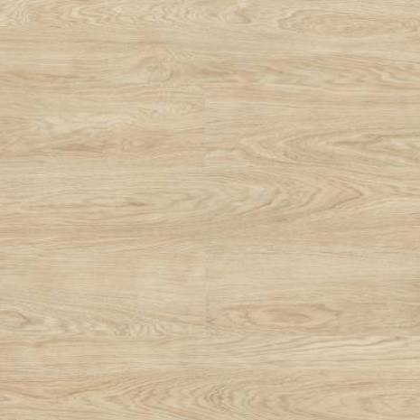 Panele podłogowe Dąb Tulip D4587 AC6 10 mm