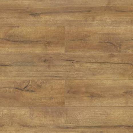 Panele podłogowe Dąb Cracovia D4923 AC5 8 mm