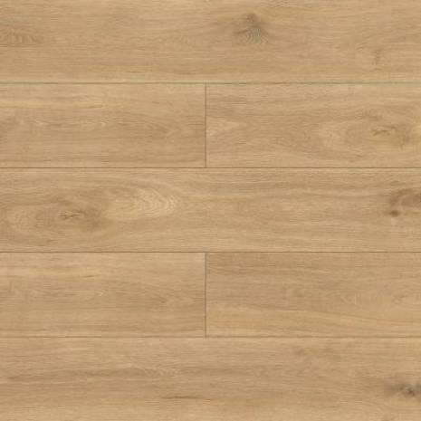 Panele podłogowe Dąb di Trevi D4917 AC5 8 mm