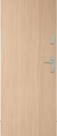 Drzwi Forca B