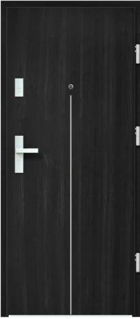 Drzwi Bastion A-66