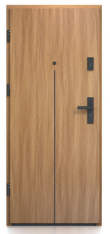 Drzwi Bastion B-79