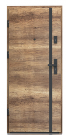 Drzwi Bastion B-766
