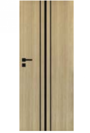 Drzwi SALEA VD11