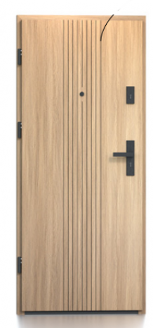 Drzwi Bastion LUX-06
