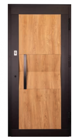 Drzwi FUTURE GV110