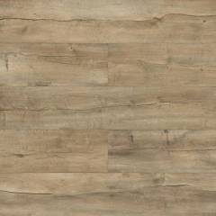 Panele podłogowe Dąb Amalfi D4915 AC5 8 mm PANELE - Wrocław