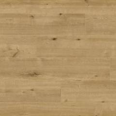 Panele podłogowe Dąb Boston 6449 AC4 8 mm PANELE - Wrocław