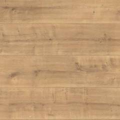 Panele Podłogowe Dąb Hamilton EPL103 AC4 8 mm PANELE - Wrocław