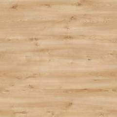 Panele podłogowe Yucca PRK113 AC3 8 mm PANELE - Wrocław