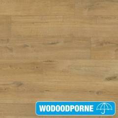 Panele Podłogowe Dąb Spokojny Naturalny IM1855 AC4 8 mm PANELE - Wrocław